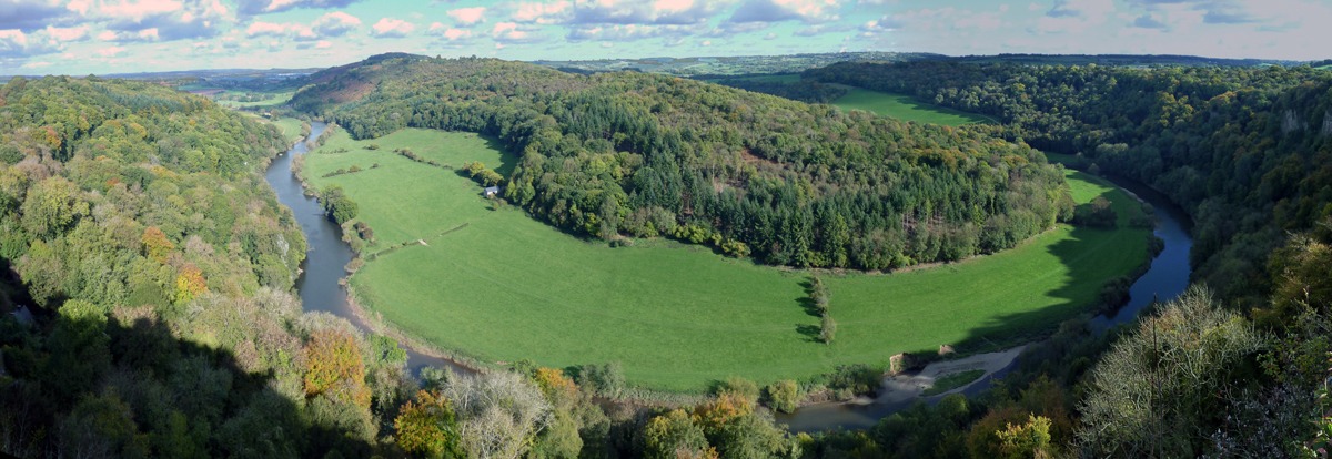 The Forest of Dean from Symonds Yat Rock