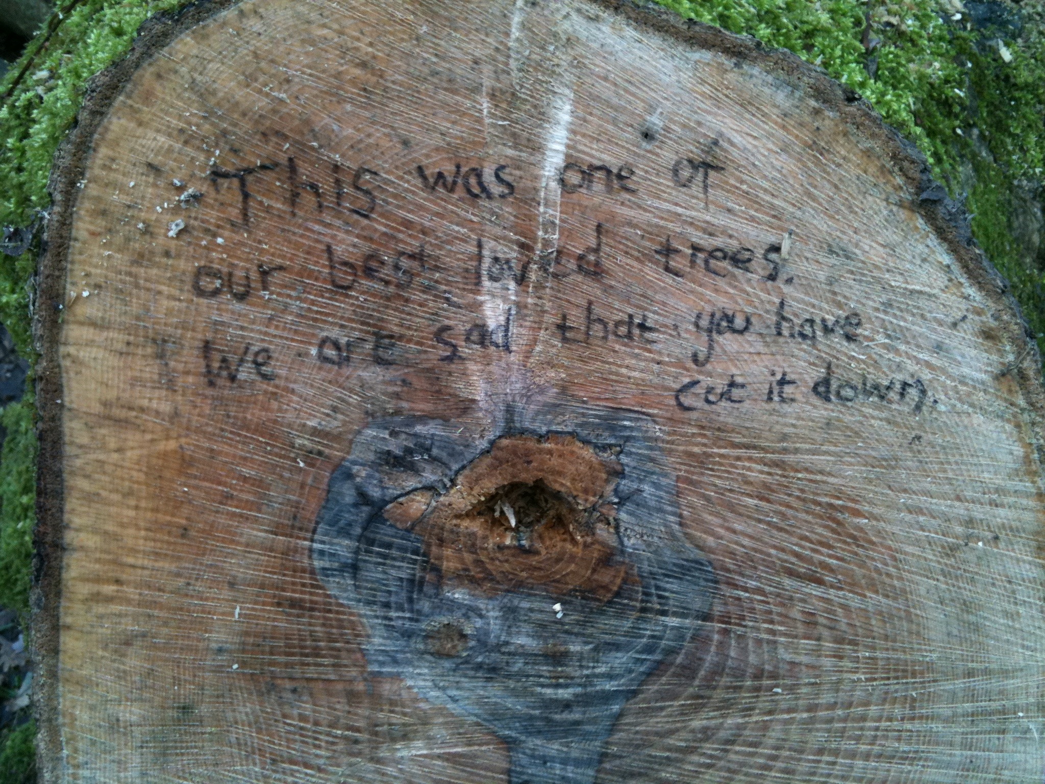 message on an Ash coppice stool