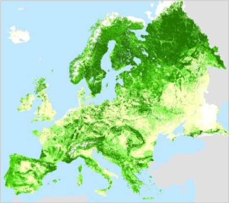 European Forests