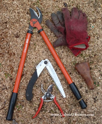 tree pruning tools