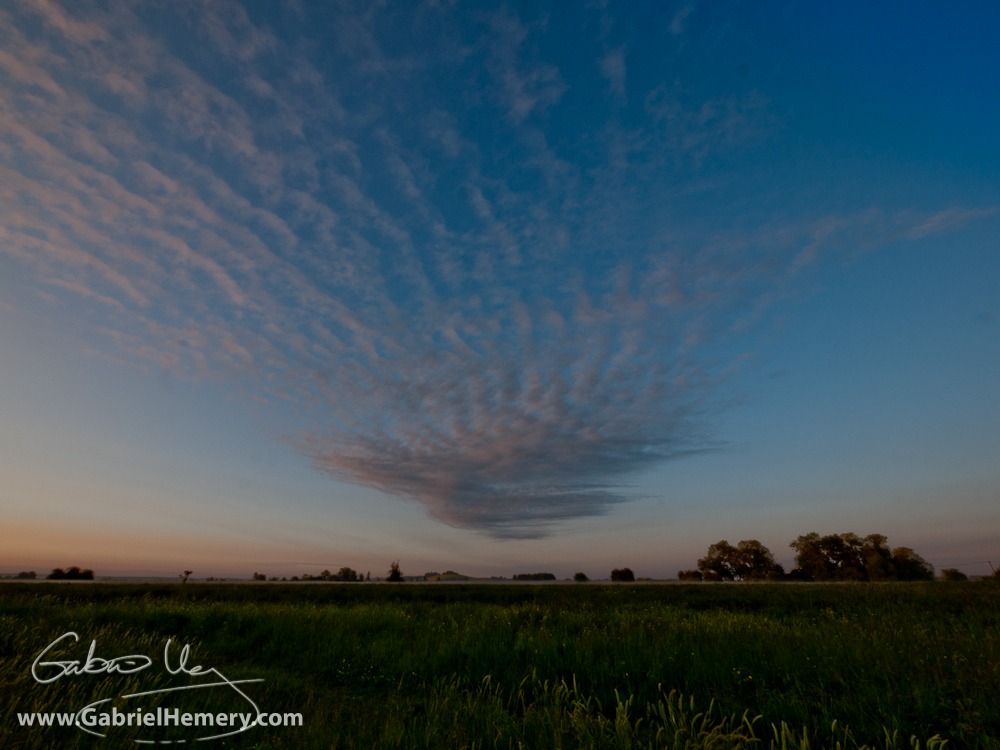Dawn in rural Oxfordshire
