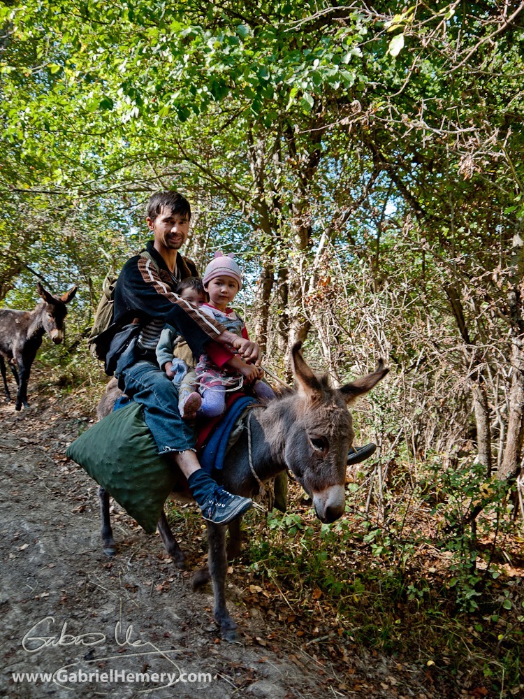 Walnut collecting family with donkeys in Kyrgyzstan