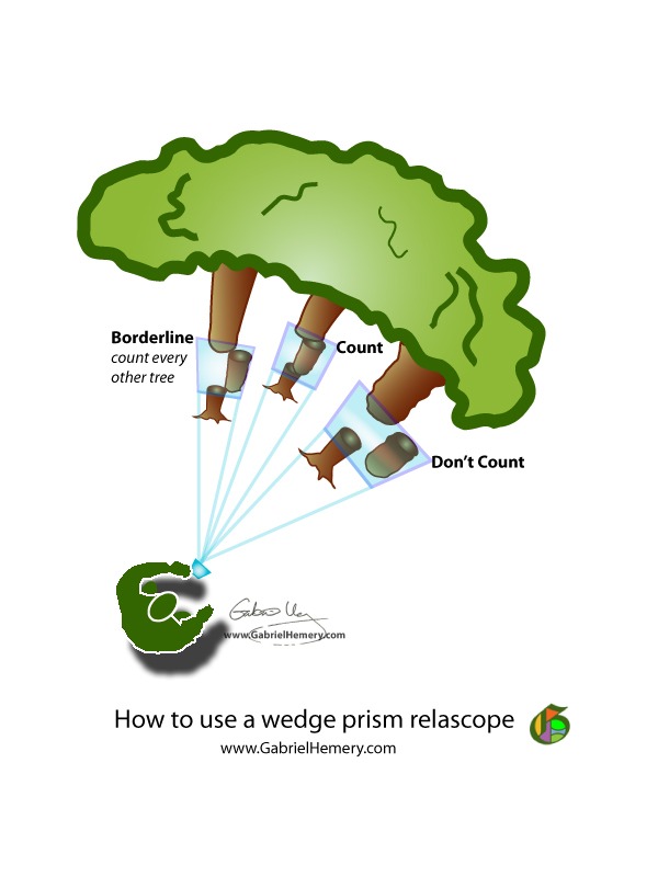 how to use a wedge prism relascope