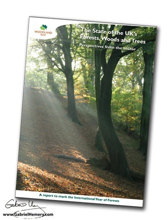 State of the UK's Forests Woods and Trees report