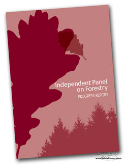 Independent Panel on Forestry progress report