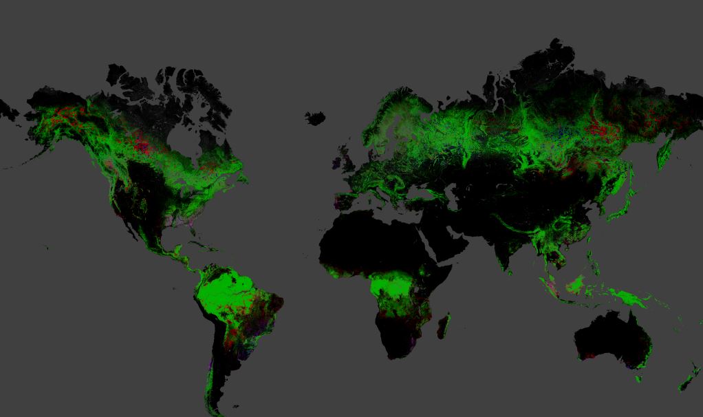 Global Forest change Earth view