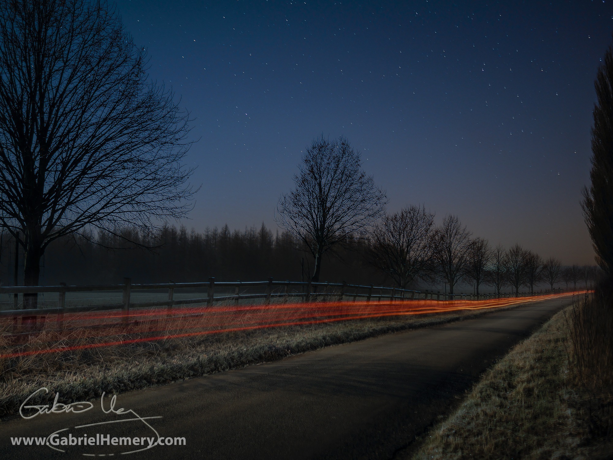 Driving to a night photography shoot - self portrait. Tree avenue and moon shadows.