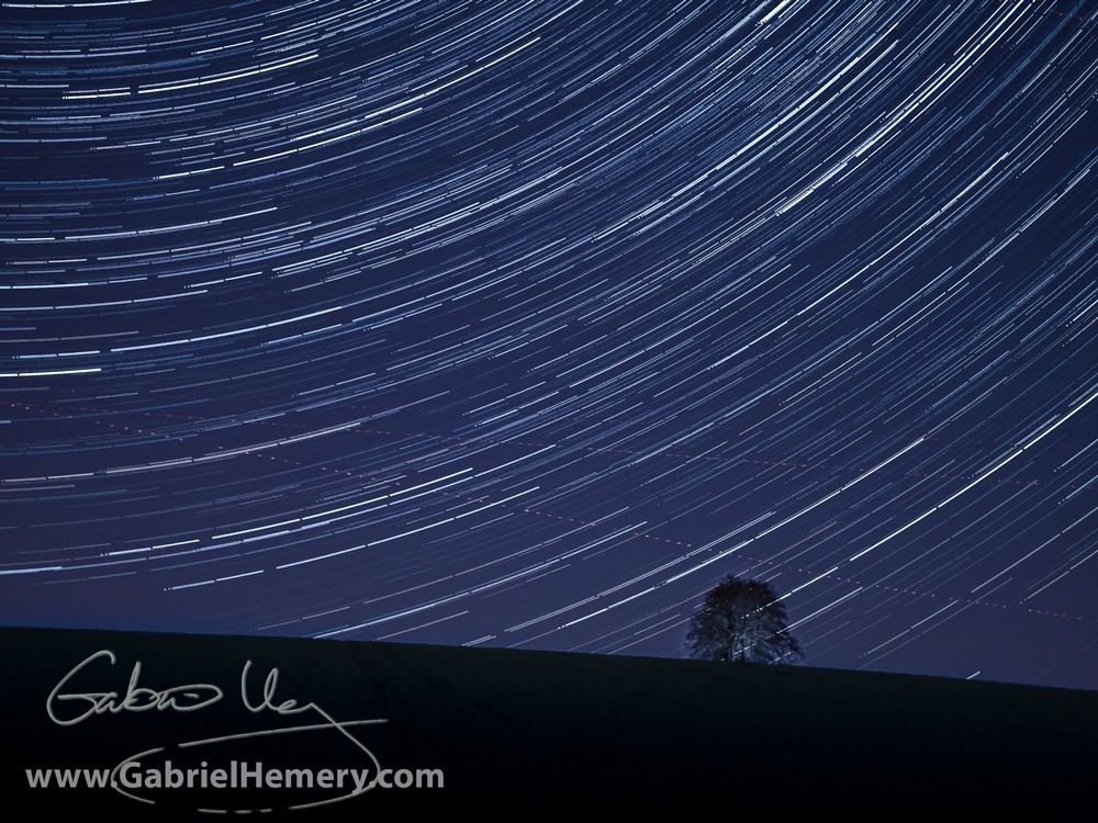 Startrail over tree clump