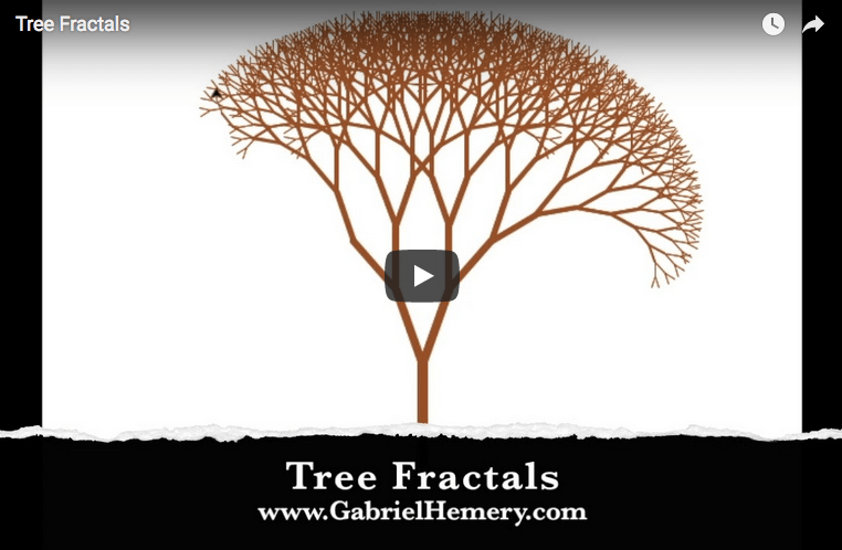 Tree Fractals video