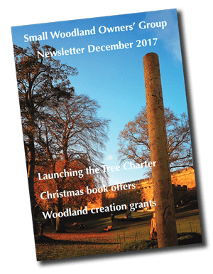 SWOG Newsletter Dec2017