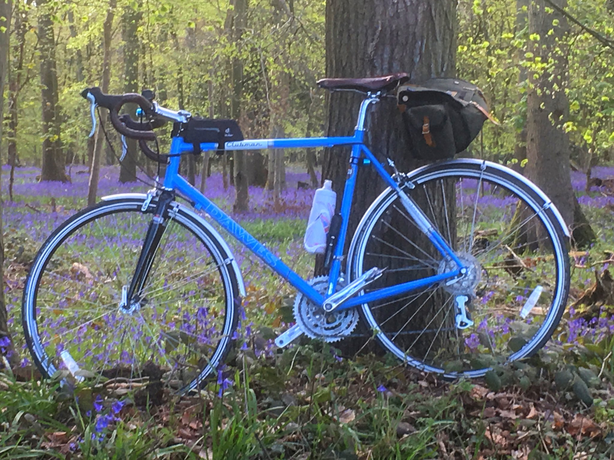 Bike and bluebells