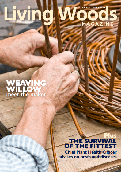Download the Summer 2019 edition of the Living Woods Magazine