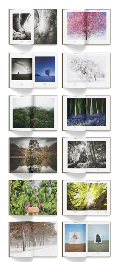 Sample spreads from Trees of the Planet