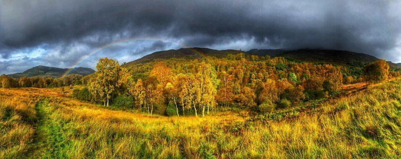 Glen Finglas rainbow treescape by Gabriel Hemery. Celebrating the wonders of trees