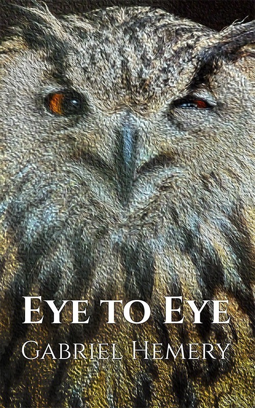Eye to Eye by Gabriel Hemery