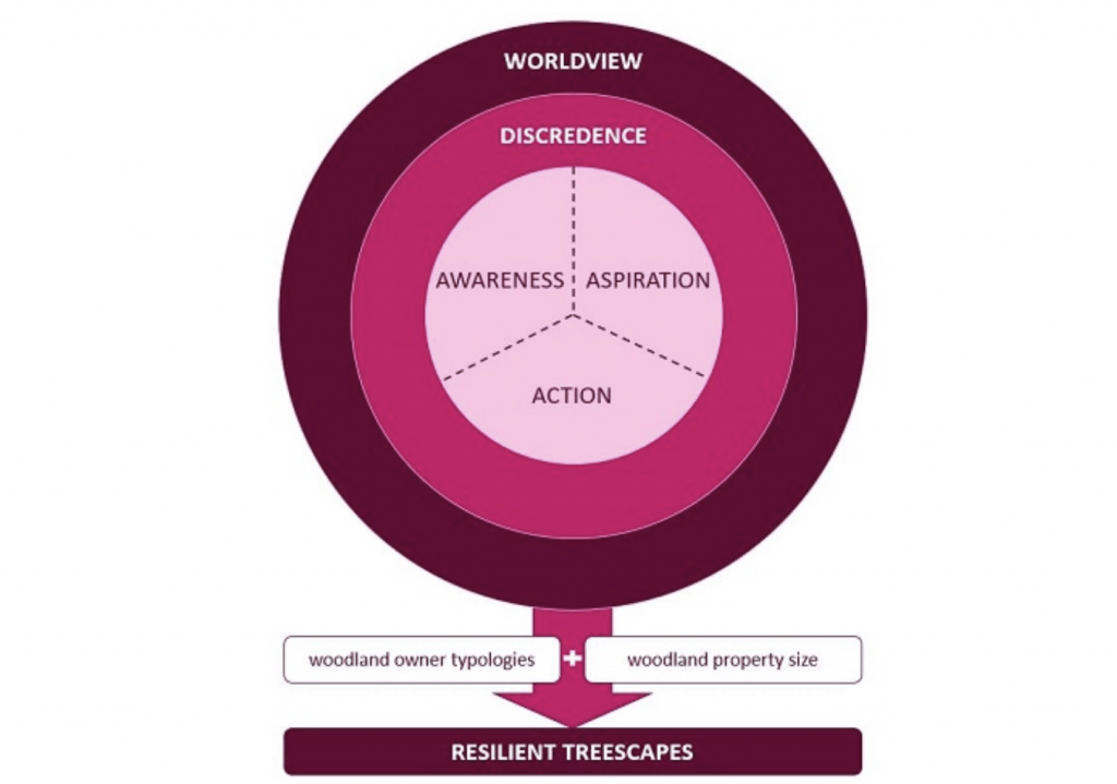 Conceptual framework to show the influence of ecological worldview and discredence on awareness, aspiration and action among woodland managers for adaptation measures