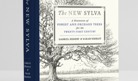 The New Sylva 2021