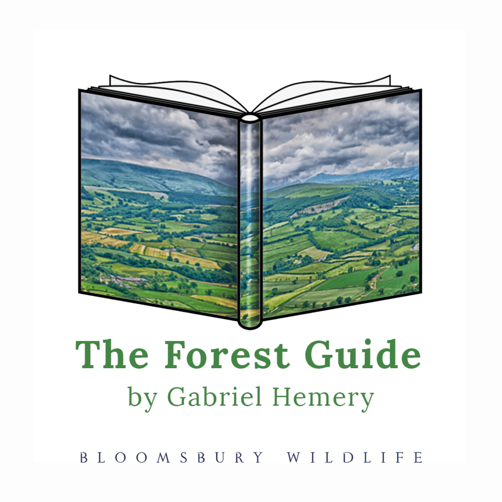 The Forest Guide by Gabriel Hemery