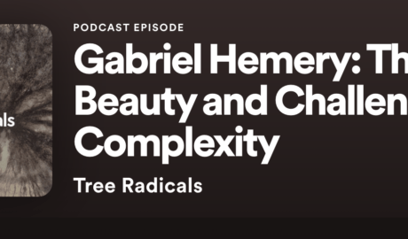 Tree Radicals: Gabriel Hemery talks with Jez Ralph