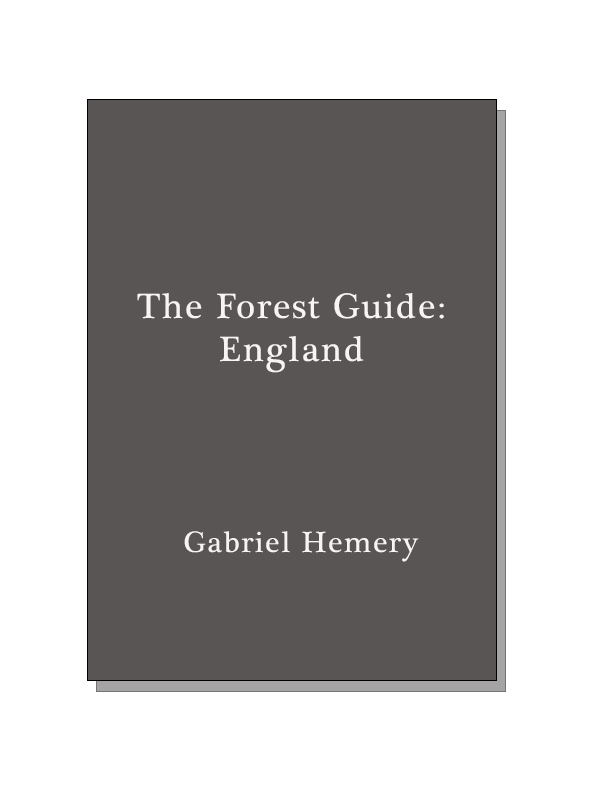 The Forest Guide: England