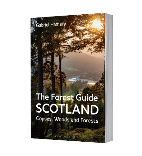 The Forest Guide Scotland