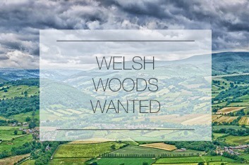 Welsh Woods Wanted