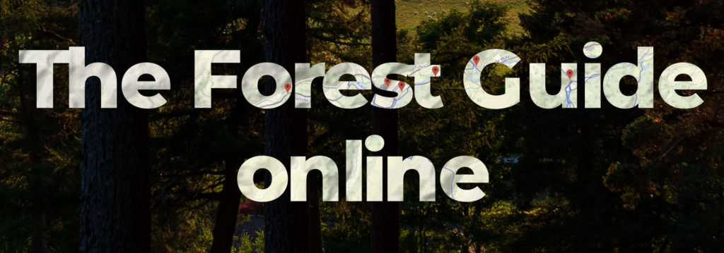 The Forest Guide online