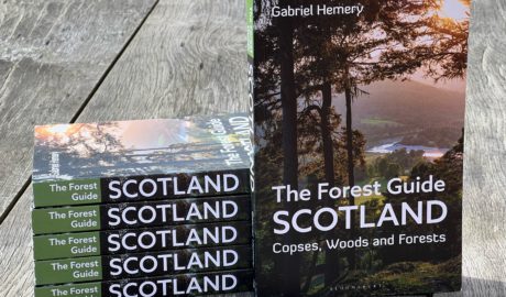The Forest Guide Scotland by Gabriel Hemery