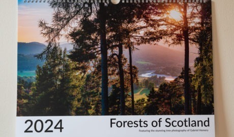 Forests of Scotland 2024 calendar by Gabriel Hemery