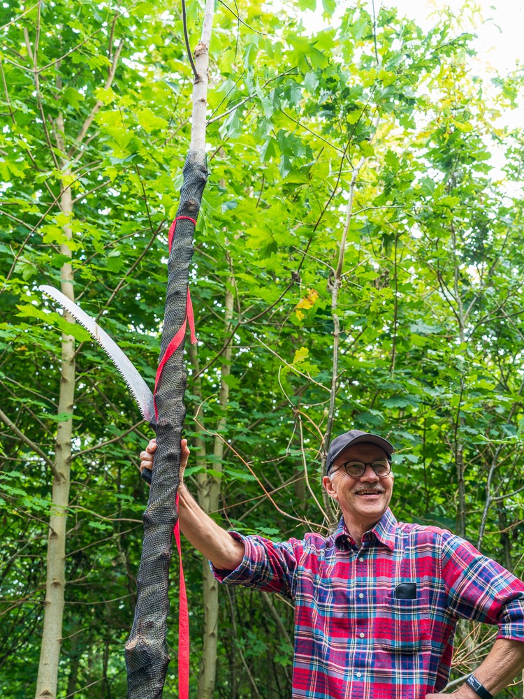 Professor J P Skovsgaard discusses the pruning of wild service tree in the forest.