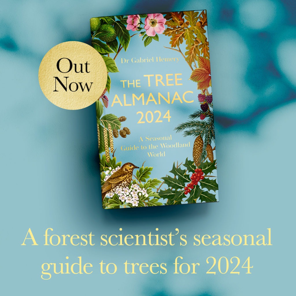 The Tree Almanac 2024 - signed copies available