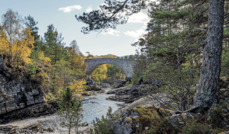 Site 168 Little Garve, featured in The Forest Guide: Scotland
