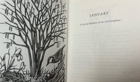 January and The Tree Almanac 2024