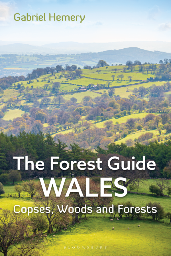 The Forest Guide: Wales by Gabriel Hemery
