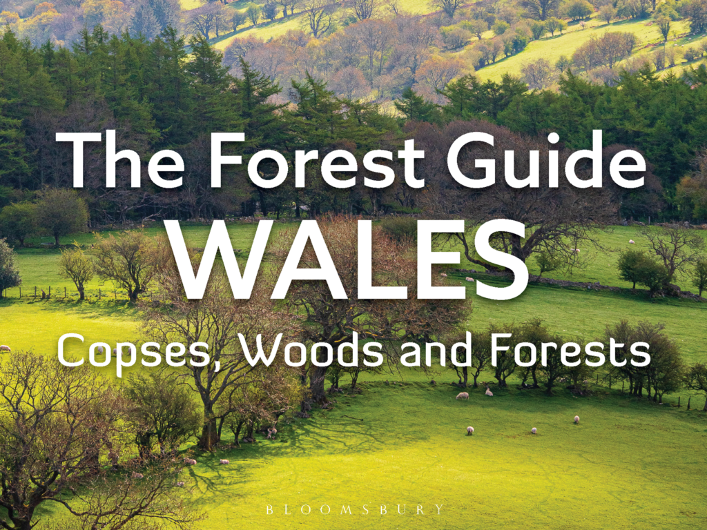 The Forest Guide: Wales by Gabriel Hemery is published by Bloomsbury in 2025