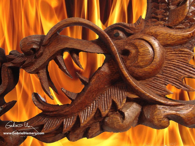 wood fire dragon | Gabriel Hemery