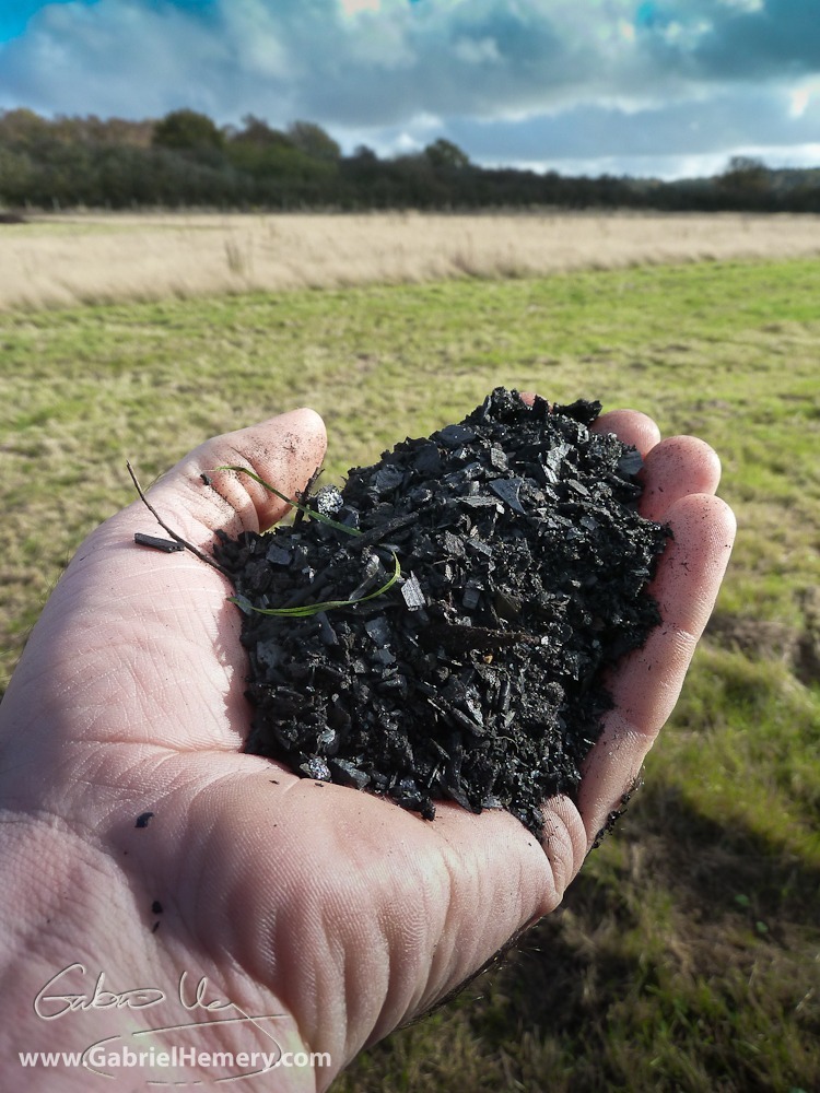 biochar