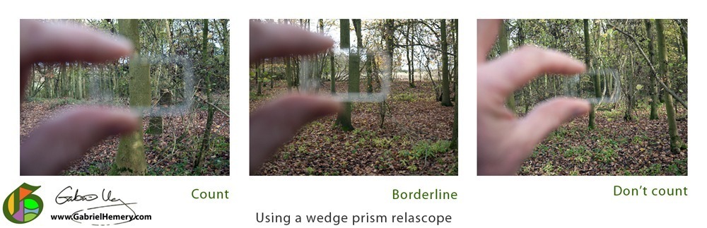Using a wedge prism relascope