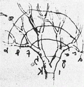 Leonardo da Vinci made this sketch depicting the branching pattern of trees. He depicted that the total thickness of branches along each of the arcs would e qual the thickness of the trunk. 