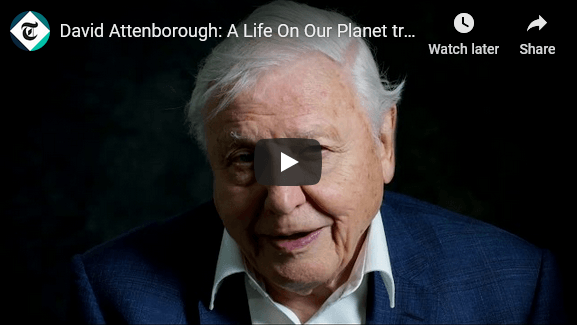 David Attenborough: A Life On Our Planet
