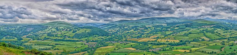 A guide to the copses, woods and forests of Britain by Gabriel Hemery