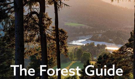 The Forest Guide: Scotland by Gabriel Hemery