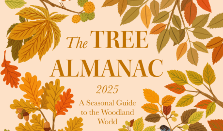 The Tree Almanac 2025 by Dr Gabriel Hemery