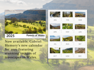 Gabriel Hemery's 2025 calendar Forests of Wales
