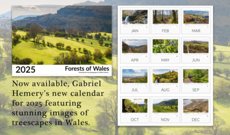 Gabriel Hemery's 2025 calendar Forests of Wales
