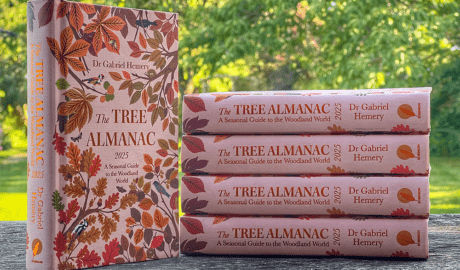 The Tree Almanac 2025 by Gabriel Hemery published by Robinson