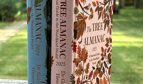 Tree Almanac 2024 and 2025