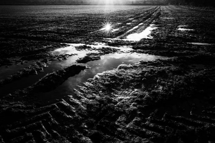 Day 279 | The Tractor Puddle